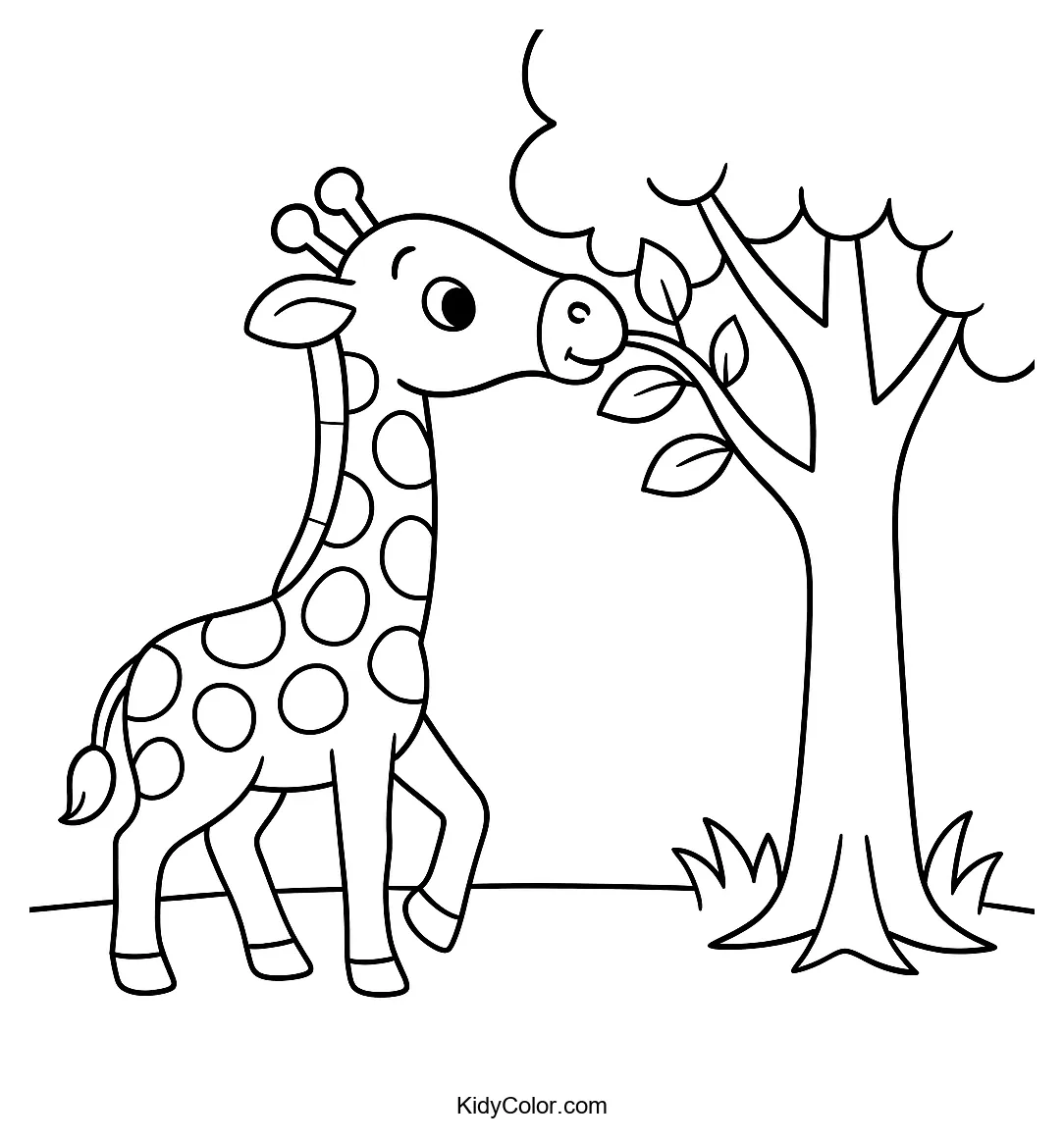 Giraffe eating leaves from a tree
