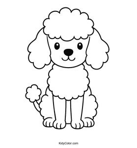 Poodle