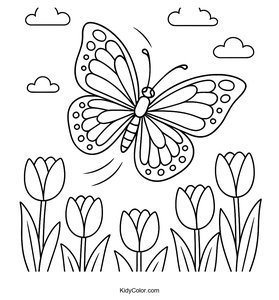 Caterpillars & Butterflies