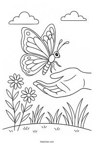 Caterpillars & Butterflies