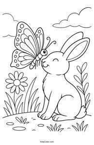 Caterpillars & Butterflies