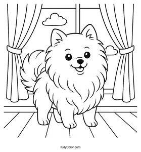 Pomeranian