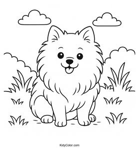 Pomeranian