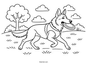 German Shepherd