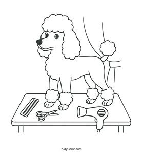 Poodle