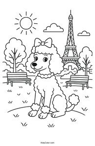 Poodle