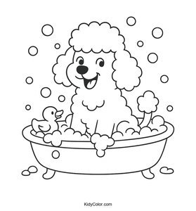 Poodle