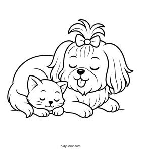 Shih Tzu