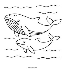 Whales