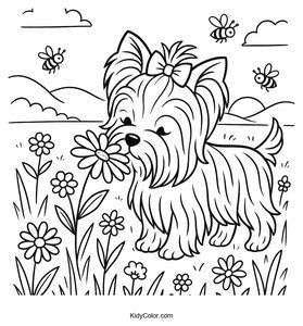 Yorkshire Terrier