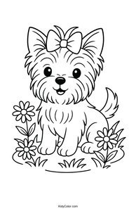 Yorkshire Terrier