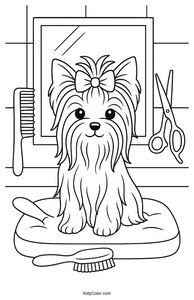 Yorkshire Terrier