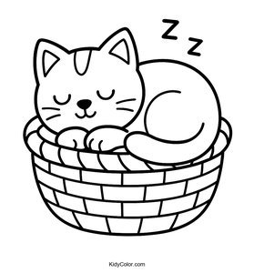 A Sleepy Kitten Curled Up In A Cozy Basket