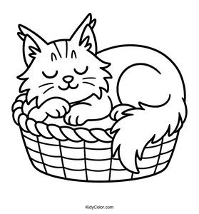 A Sleepy Maine Coon Cat Curled Up In A Cozy Basket
