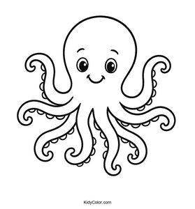 Octopus