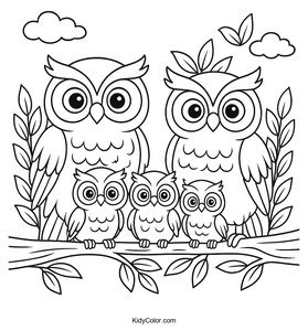 Owls