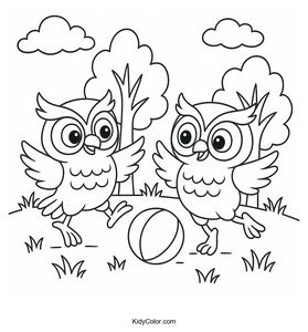 Owls